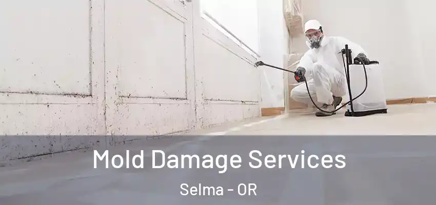  Mold Damage Services Selma - OR