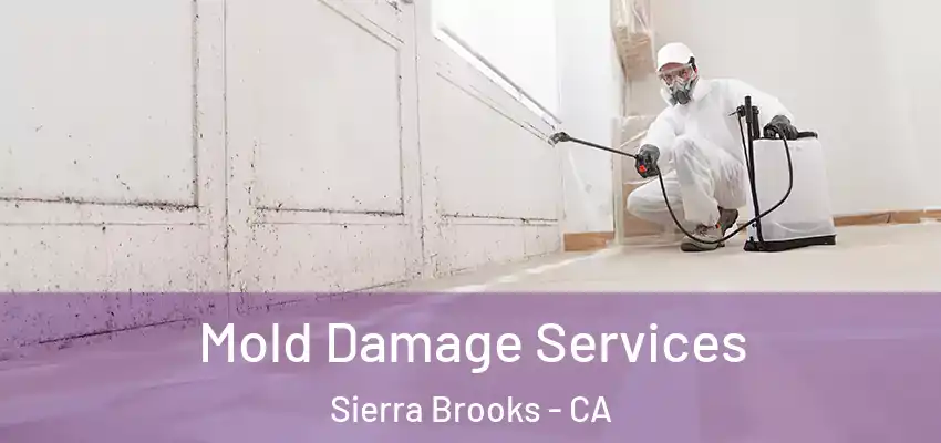  Mold Damage Services Sierra Brooks - CA