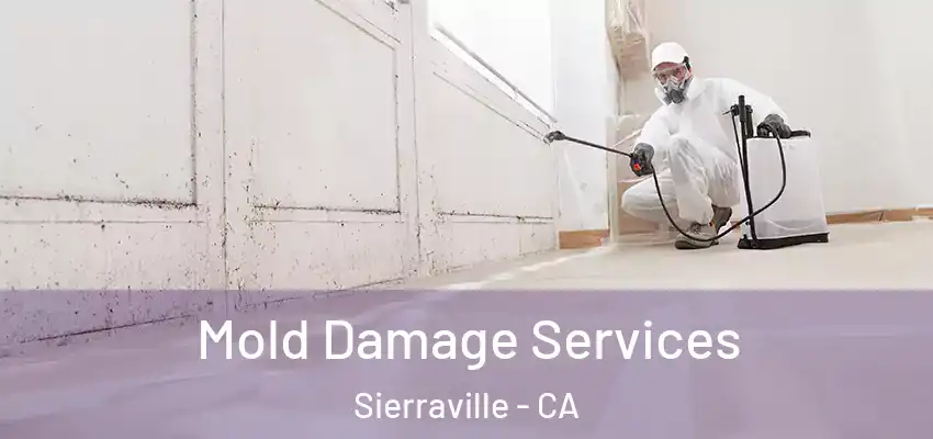  Mold Damage Services Sierraville - CA