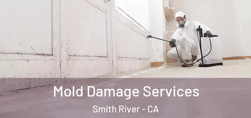  Mold Damage Services Smith River - CA