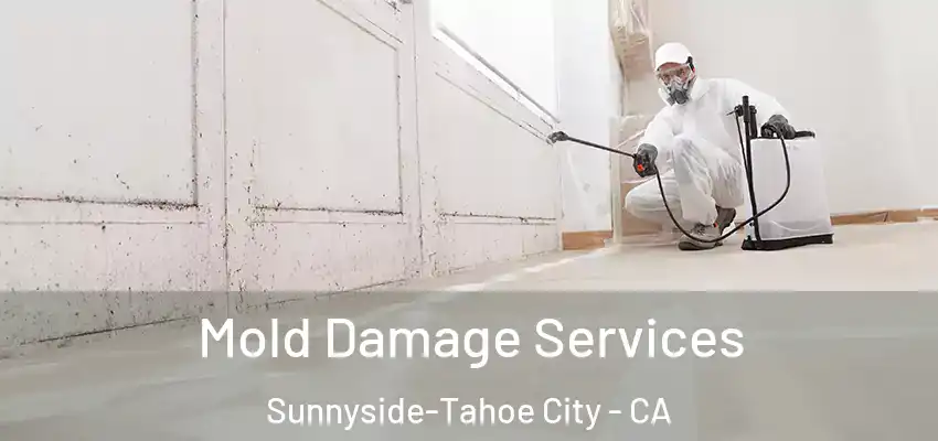  Mold Damage Services Sunnyside-Tahoe City - CA