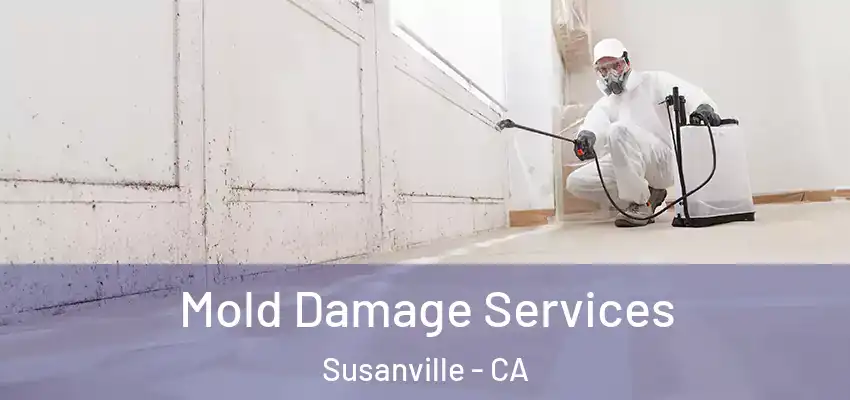  Mold Damage Services Susanville - CA