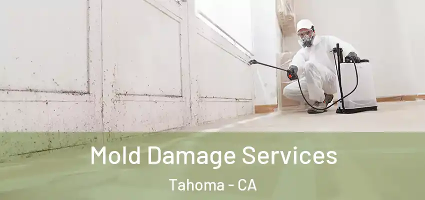  Mold Damage Services Tahoma - CA