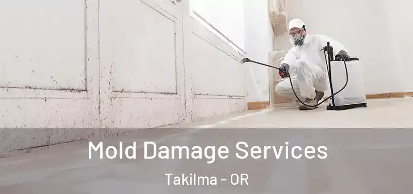  Mold Damage Services Takilma - OR