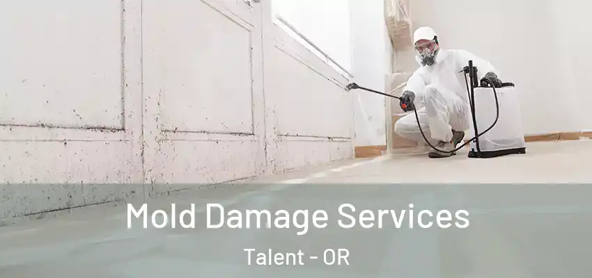  Mold Damage Services Talent - OR