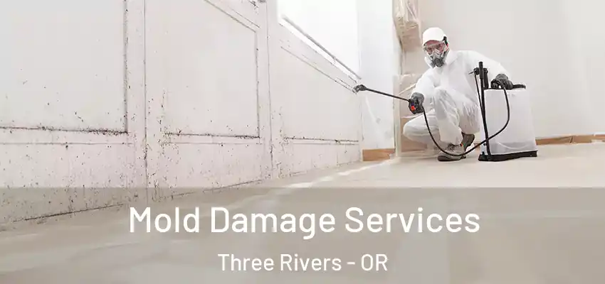  Mold Damage Services Three Rivers - OR