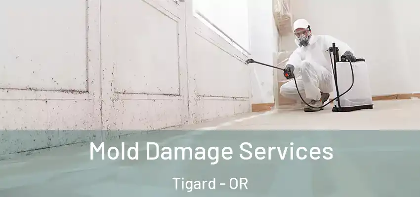  Mold Damage Services Tigard - OR