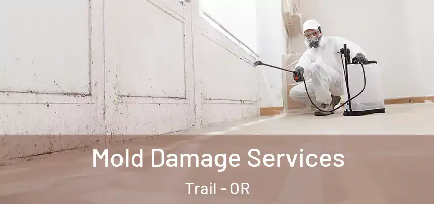  Mold Damage Services Trail - OR