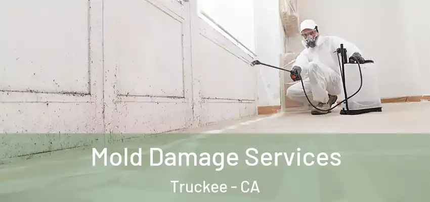  Mold Damage Services Truckee - CA