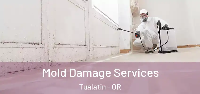  Mold Damage Services Tualatin - OR