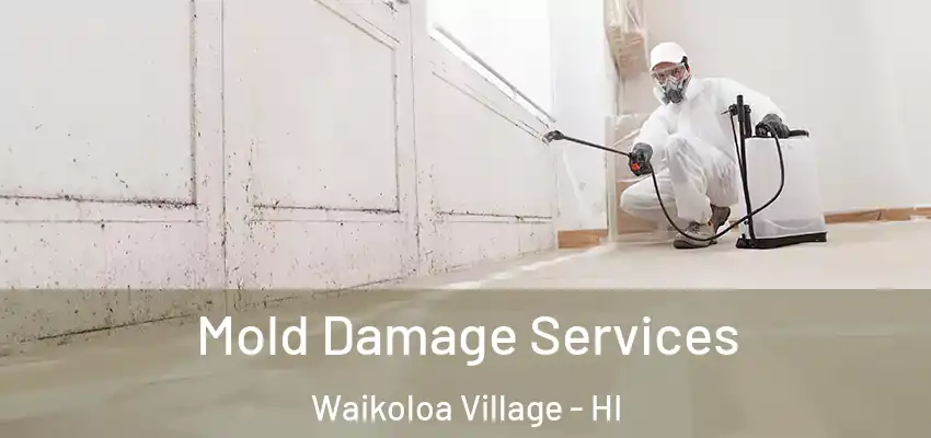  Mold Damage Services Waikoloa Village - HI