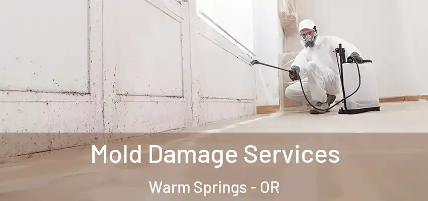  Mold Damage Services Warm Springs - OR