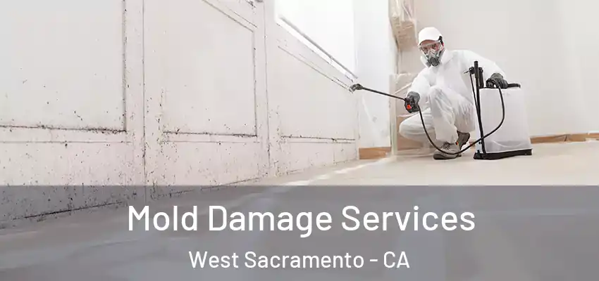  Mold Damage Services West Sacramento - CA