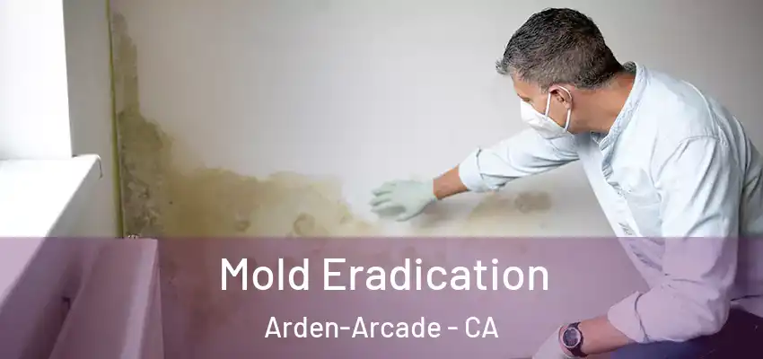 Mold Eradication Arden-Arcade - CA