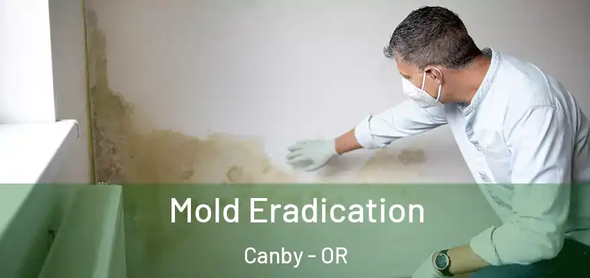  Mold Eradication Canby - OR