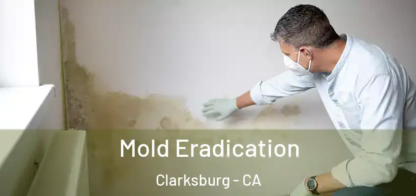 Mold Eradication Clarksburg - CA