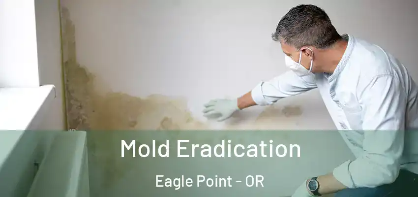  Mold Eradication Eagle Point - OR