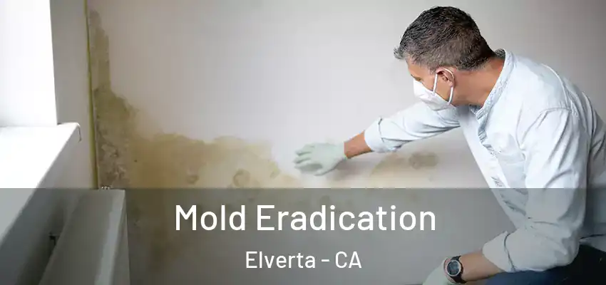  Mold Eradication Elverta - CA