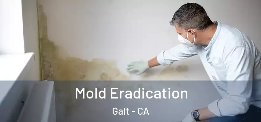  Mold Eradication Galt - CA