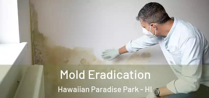  Mold Eradication Hawaiian Paradise Park - HI