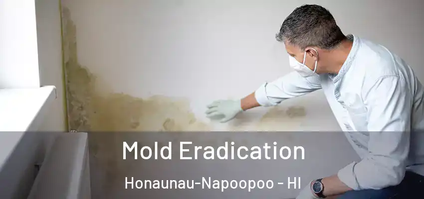  Mold Eradication Honaunau-Napoopoo - HI