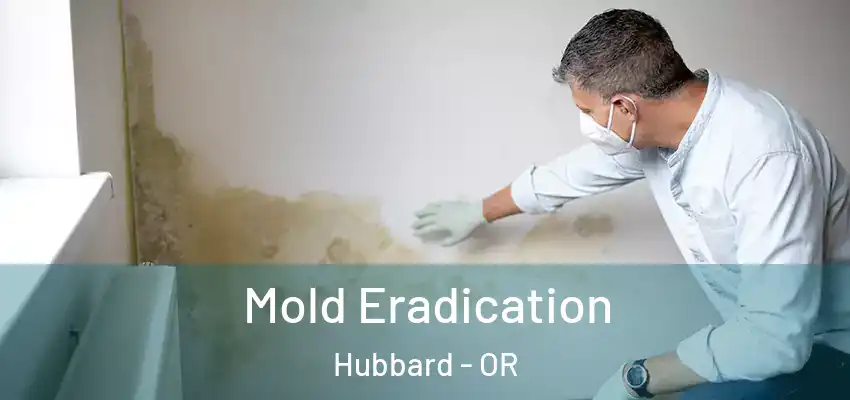  Mold Eradication Hubbard - OR