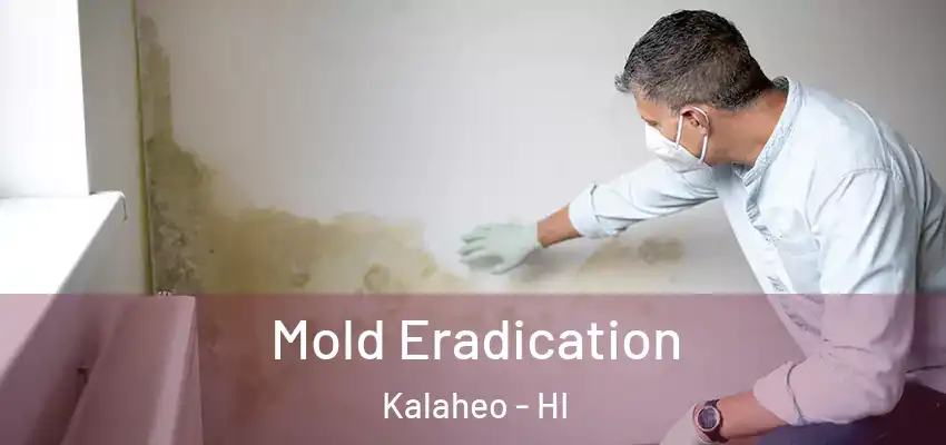  Mold Eradication Kalaheo - HI