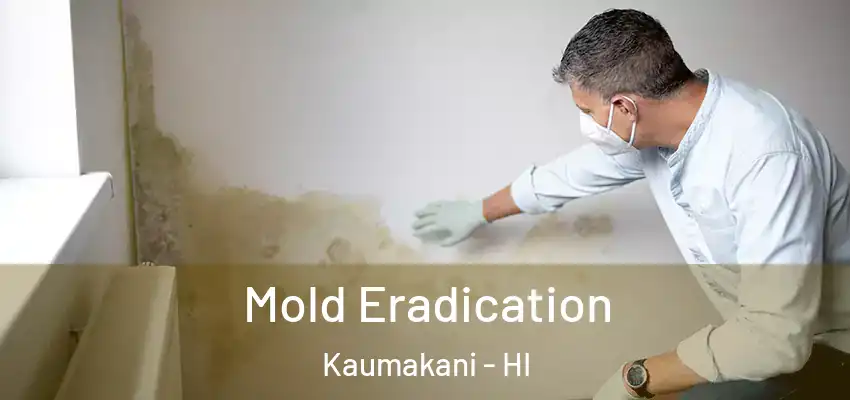  Mold Eradication Kaumakani - HI