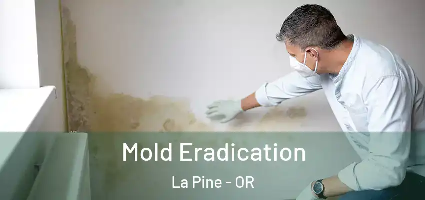  Mold Eradication La Pine - OR