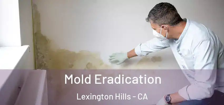  Mold Eradication Lexington Hills - CA