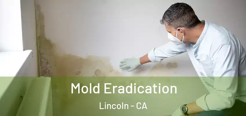  Mold Eradication Lincoln - CA