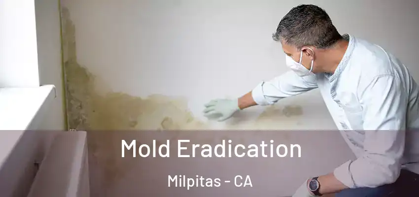  Mold Eradication Milpitas - CA