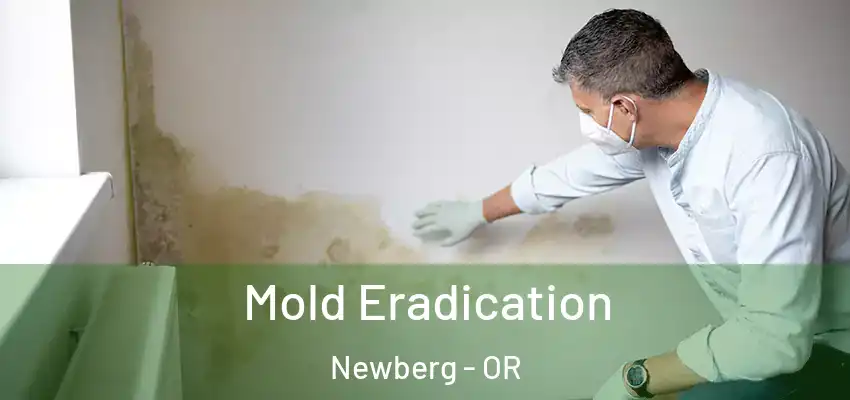  Mold Eradication Newberg - OR