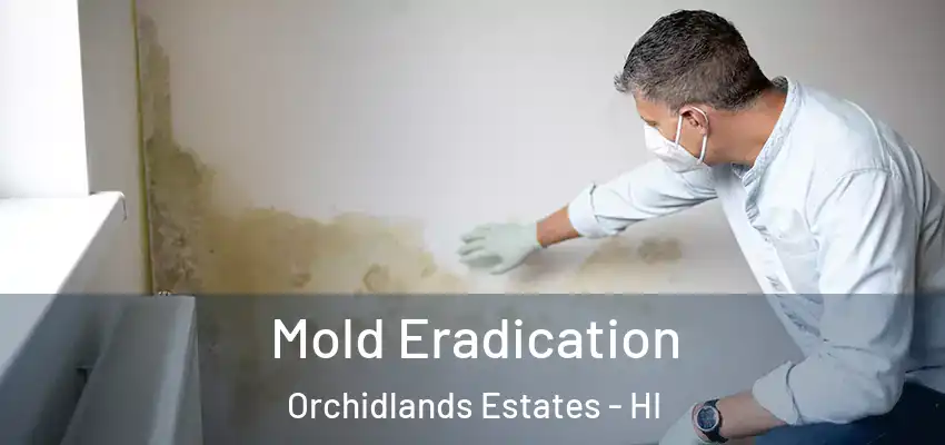 Mold Eradication Orchidlands Estates - HI