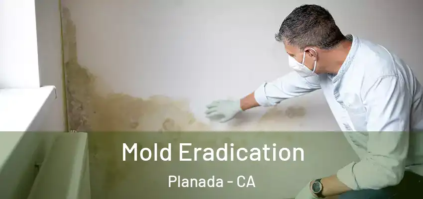 Mold Eradication Planada - CA
