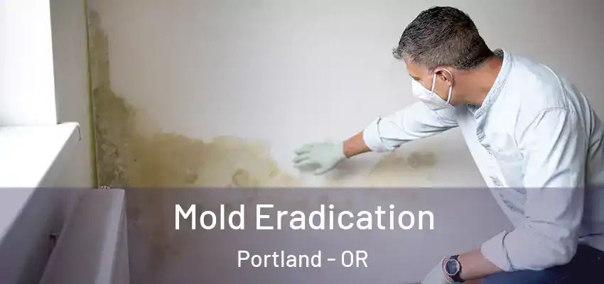  Mold Eradication Portland - OR