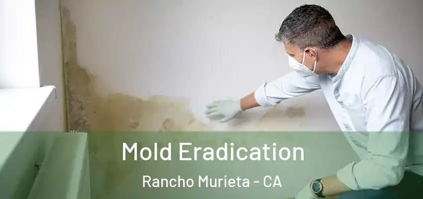  Mold Eradication Rancho Murieta - CA