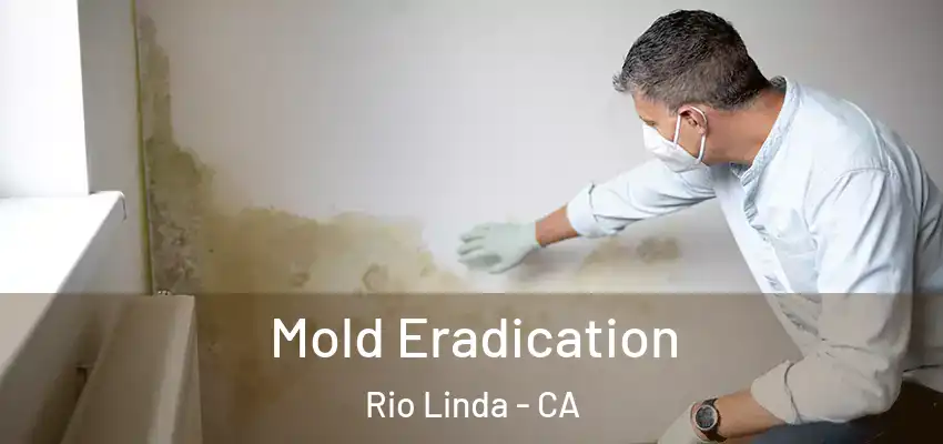  Mold Eradication Rio Linda - CA