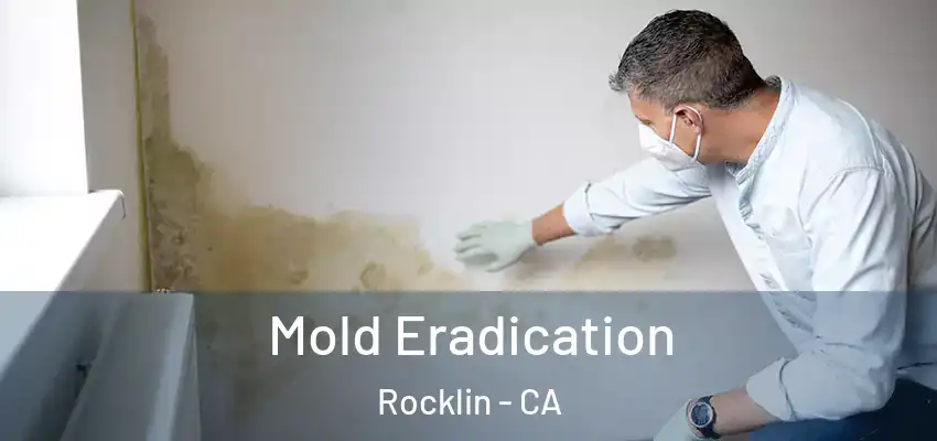  Mold Eradication Rocklin - CA