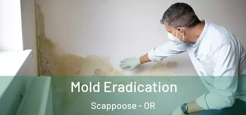  Mold Eradication Scappoose - OR