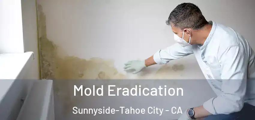  Mold Eradication Sunnyside-Tahoe City - CA
