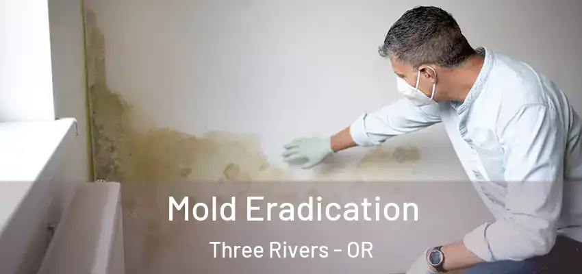  Mold Eradication Three Rivers - OR