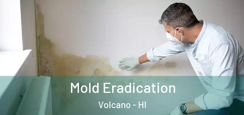 Mold Eradication Volcano - HI