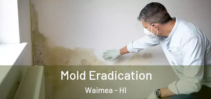Mold Eradication Waimea - HI