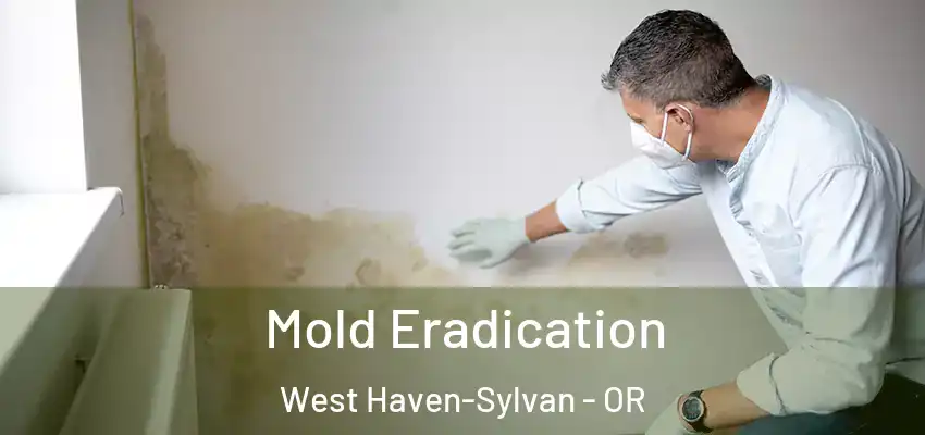  Mold Eradication West Haven-Sylvan - OR