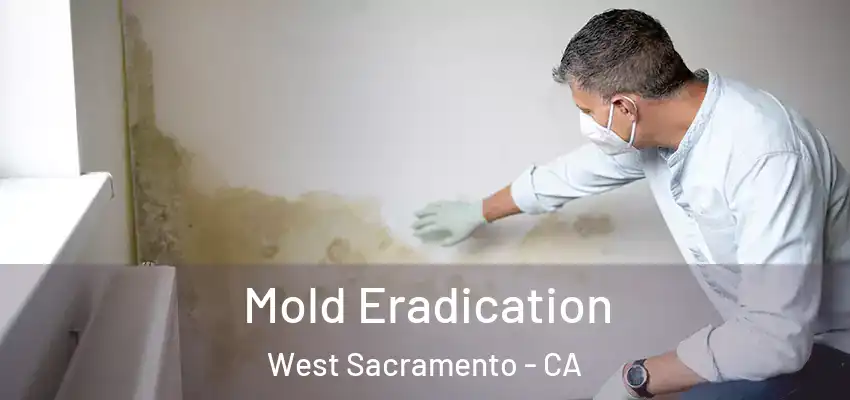  Mold Eradication West Sacramento - CA