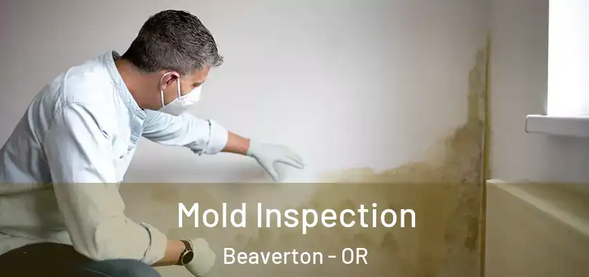  Mold Inspection Beaverton - OR