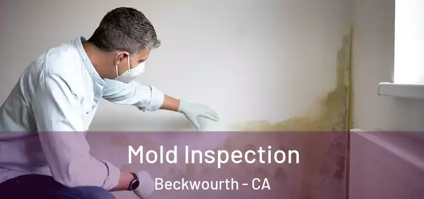  Mold Inspection Beckwourth - CA
