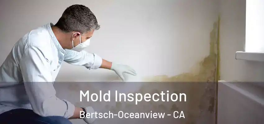  Mold Inspection Bertsch-Oceanview - CA