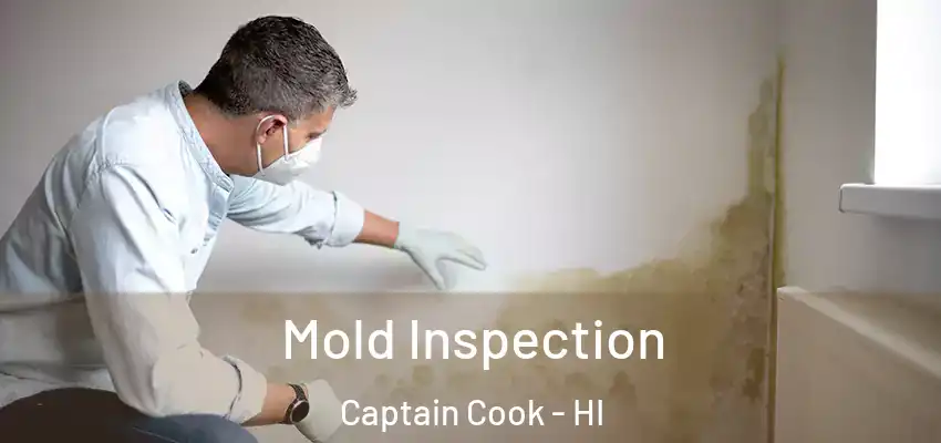  Mold Inspection Captain Cook - HI